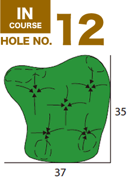 NO.12